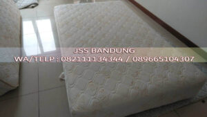 service springbed Pasteur